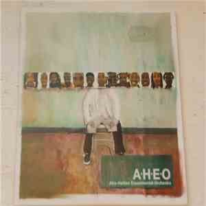 A·H·E·O - Afro-Haitian Experimental Orchestra