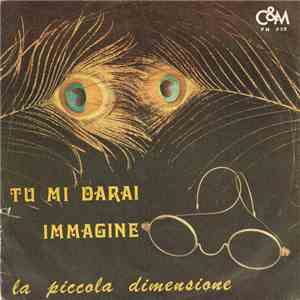 La Piccola Dimensione - Tu Mi Darai / Immagine