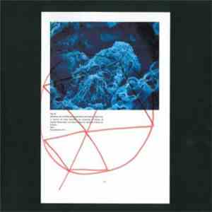 M.B. - Menses