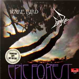Rare Bird - Epic Forest