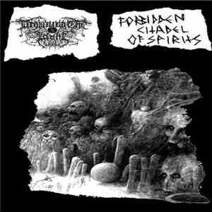 Drowning The Light / Forbidden Citadel Of Spirits - Drowning The Light / Fo ...