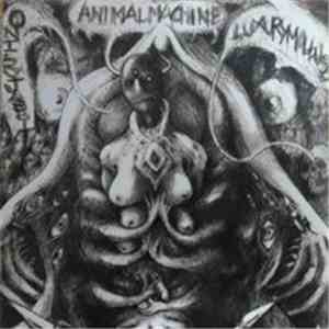 Luxury Mollusc / Ontervjabbit / Animal Machine  - Luxury Mollusc / Ontervja ...