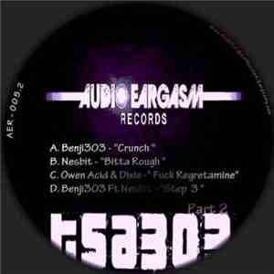 Various - 005​.​2 (TSA303 Part 2)