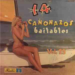 Various - 14 Cañonazos Bailables Vol. 23