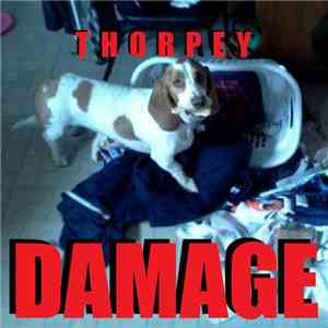 Thorpey - Damage Remixes EP