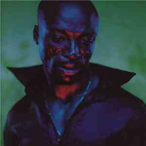Seal - Human Being