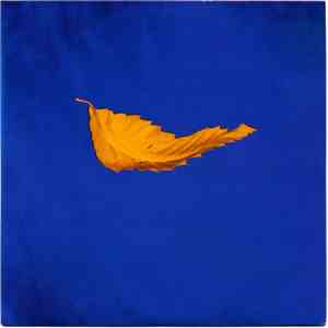 New Order - True Faith