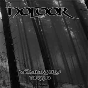 Noldor - Düsterwald