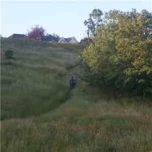 Raising Holy Sparks -  Agricultural Light & Magick Vol. VII - The Fishermen's Chapel, Leigh-on-Sea