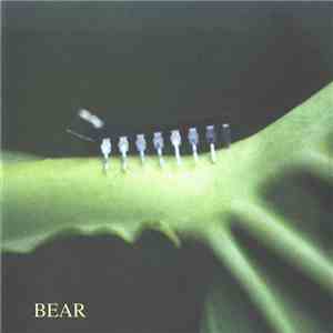 Bear - Bugs