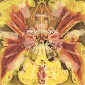Boedekka - Hapi Nightmares