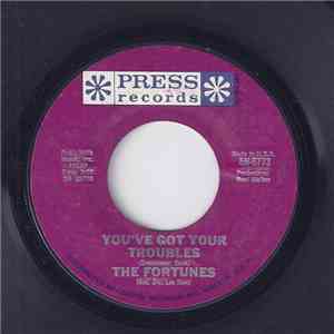 The Fortunes - You've Got Your Troubles