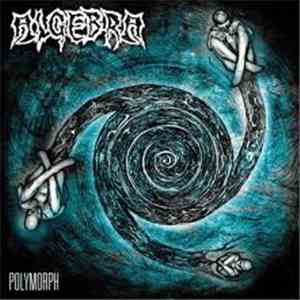 Algebra  - Polymorph