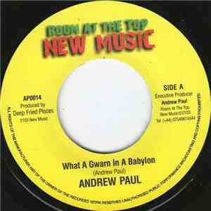 Andrew Paul - What A Gwaan In A Babylon (Radio Mix)