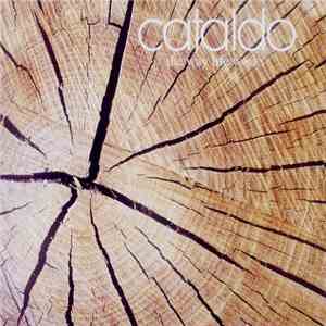 Cataldo - The Way Life Works