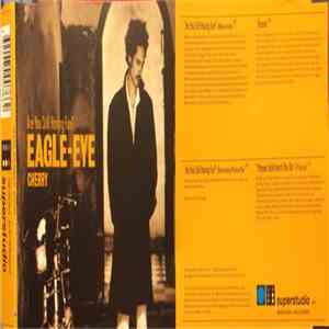 Eagle-Eye Cherry - Are You Still Having Fun?