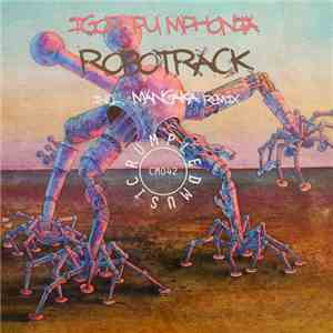 Igor Pumphonia - Robotrack
