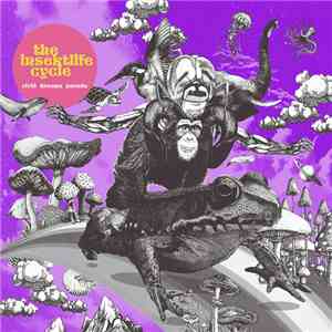 The Insektlife Cycle - Vivid Dreams Parade