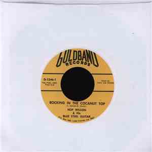 Hop Wilson & His Blue Steel Guitar / Hop Wilson & His Chickens - Rocking In ...