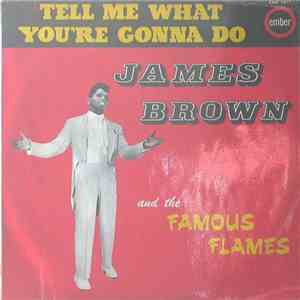 James Brown & The Famous Flames - Tell Me What You're Gonna Do