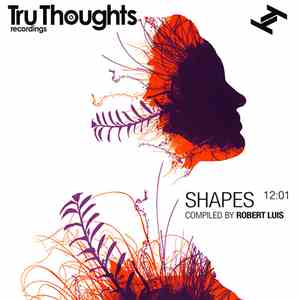 Robert Luis - Shapes 12:01