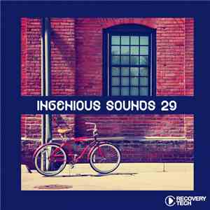 Various - Ingenious Sounds 29