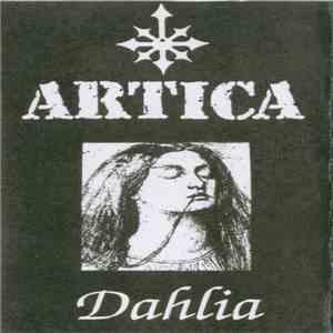 Artica  - Dahlia