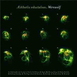Esthetic Education - Werewolf