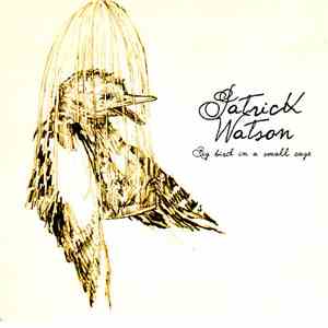 Patrick Watson  - Big Bird In A Small Cage