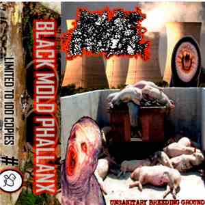 Black Mold Phallanx - Unsanitary Breeding Ground