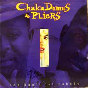Chaka Demus & Pliers - She Don't Let Nobody