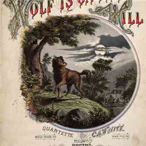 The Pictish Trail - The Wolf Is On The Hill (Demo)