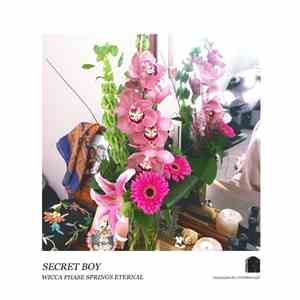 Wicca Phase Springs Eternal - Secret Boy