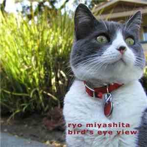 Ryo Miyashita - Bird's Eye View