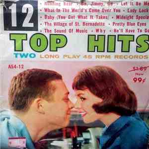 Various - 12 Top Hits