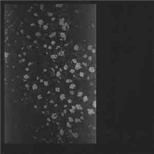 Motorama  - Poverty