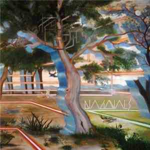 Diagonals - Valley Of The Cyclops