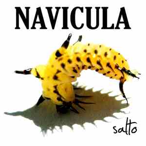 Navicula - Salto