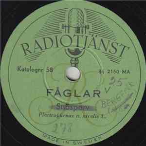 No Artist - Fåglar