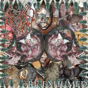 Decay  - Re-Exhumed / Re-Animated CDR And VCDR Set