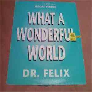 Dr. Felix - What A Wonderful World (Reggae Version)