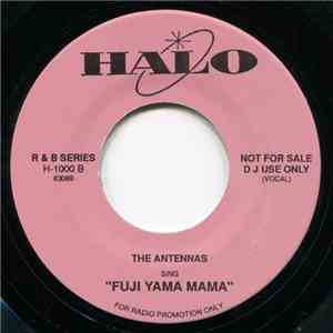 Judy Thomas / The Antennas  - Golden Records / Fuji Yama Mama