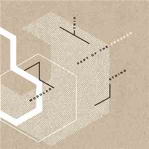 Modular String Trio - Part Of The Process