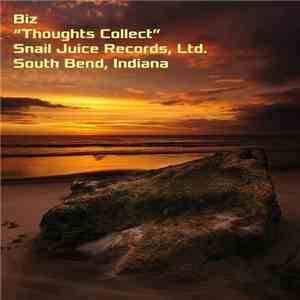 Biz  - Thoughts Collect