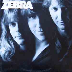 Zebra  - Zebra