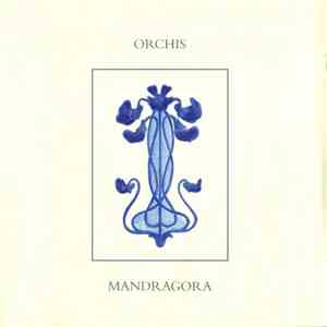 Orchis - Mandragora