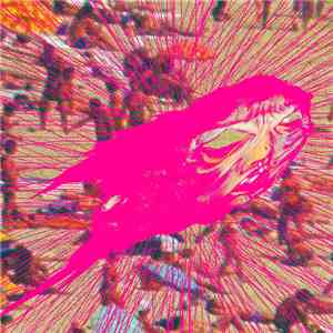 Freescha / Black Moth Super Rainbow - What In The Rad / Bad Fuckin Times