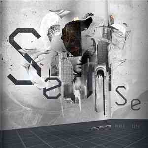 Sense - Still Life