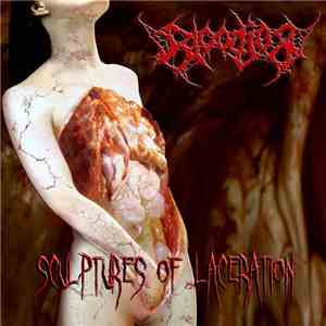 Bloodjob - Sculptures of  Laceration