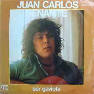 Juan Carlos Senante - Ser Gaviota